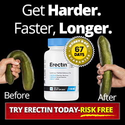 buy erectin pills